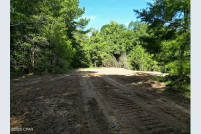 Xxx Greensboro Highway, Quincy, FL 32351 - Photo 8