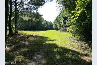 Xxx Greensboro Highway, Quincy, FL 32351 - Photo 4