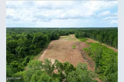 Xxx Greensboro Highway, Quincy, FL 32351 - Photo 12