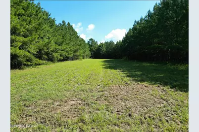 Xxx Greensboro Highway, Quincy, FL 32351 - Photo 10