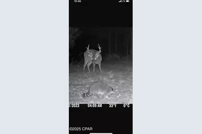 Xxx Greensboro Highway, Quincy, FL 32351 - Photo 20