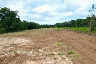 Xxx Greensboro Hwy, Quincy, FL 32351 - Photo 1