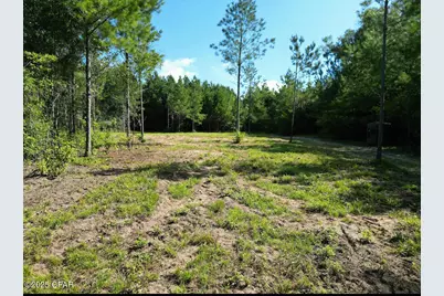 Xxx Greensboro Highway, Quincy, FL 32351 - Photo 6