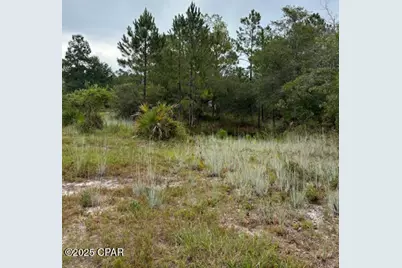 4539 NW Miller/White Ln Road, Altha, FL 32421 - Photo 34