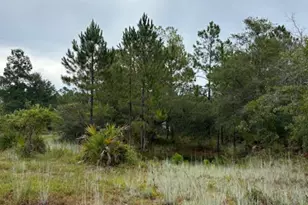 4539 NW Miller/White Ln Rd, Altha, FL 32421 - Photo 34