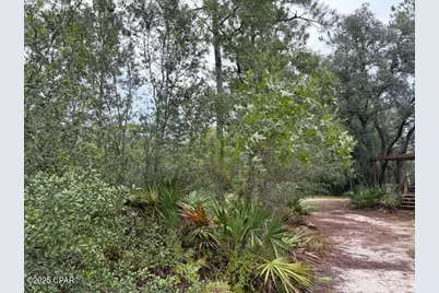 4539 NW Miller/White Ln Road, Altha, FL 32421 - Photo 26