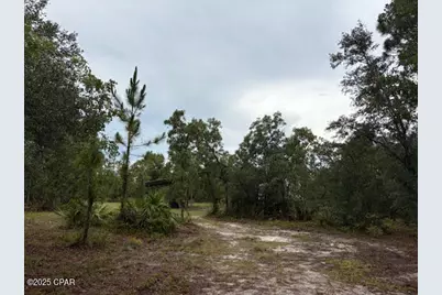 4539 NW Miller/White Ln Road, Altha, FL 32421 - Photo 18