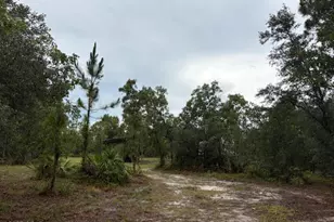 4539 NW Miller/White Ln Rd, Altha, FL 32421 - Photo 18