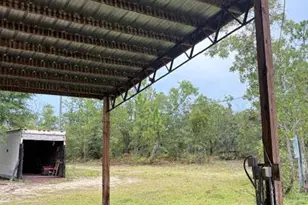 4539 NW Miller/White Ln Rd, Altha, FL 32421 - Photo 58