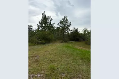 4539 NW Miller/White Ln Road, Altha, FL 32421 - Photo 32