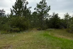 4539 NW Miller/White Ln Rd, Altha, FL 32421 - Photo 32