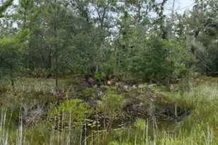 4539 NW Miller/White Ln Rd, Altha, FL 32421 - Photo 28