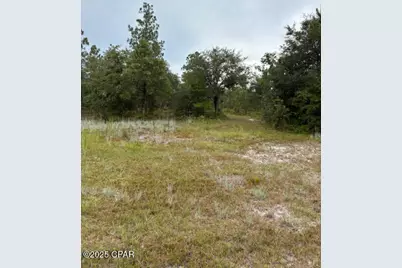 4539 NW Miller/White Ln Road, Altha, FL 32421 - Photo 30