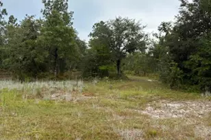 4539 NW Miller/White Ln Rd, Altha, FL 32421 - Photo 30