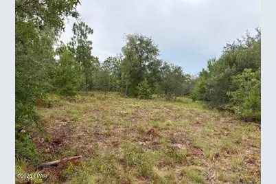 4539 NW Miller/White Ln Road, Altha, FL 32421 - Photo 40