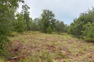 4539 NW Miller/White Ln Rd, Altha, FL 32421 - Photo 40