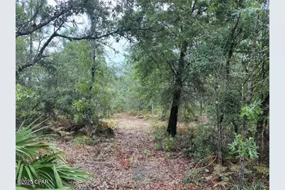 4539 NW Miller/White Ln Road, Altha, FL 32421 - Photo 52
