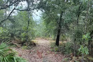 4539 NW Miller/White Ln Rd, Altha, FL 32421 - Photo 52