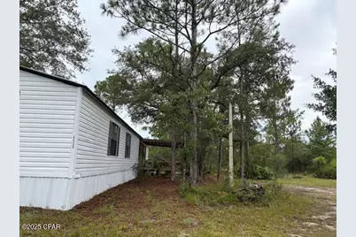 4539 NW Miller/White Ln Road, Altha, FL 32421 - Photo 10