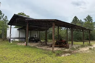 4539 NW Miller/White Ln Rd, Altha, FL 32421 - Photo 22