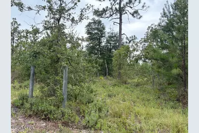 4539 NW Miller/White Ln Road, Altha, FL 32421 - Photo 42