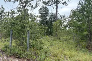 4539 NW Miller/White Ln Rd, Altha, FL 32421 - Photo 42