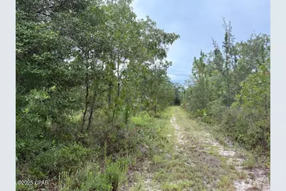 4539 NW Miller/White Ln Road, Altha, FL 32421 - Photo 46