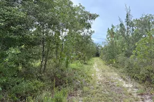 4539 NW Miller/White Ln Rd, Altha, FL 32421 - Photo 46