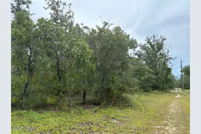 4539 NW Miller/White Ln Road, Altha, FL 32421 - Photo 50