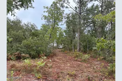 4539 NW Miller/White Ln Road, Altha, FL 32421 - Photo 38