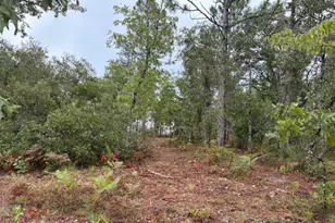 4539 NW Miller/White Ln Rd, Altha, FL 32421 - Photo 38