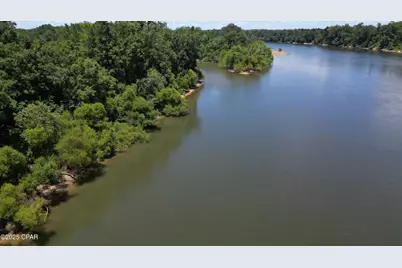 8599 Gadsen Trail, Sneads, FL 32460 - Photo 6