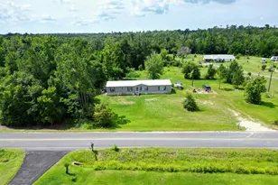 20655 NE Parrish Lake Rd, Blountstown, FL 32424 - Photo 1