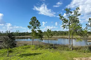 516 William Way, Panama City, FL 32404 - Photo 2