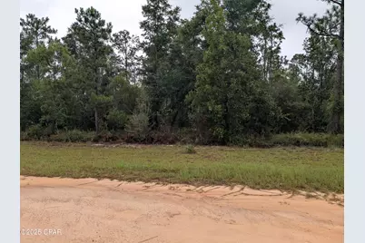 0 Castillo Drive, Alford, FL 32420 - Photo 4