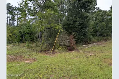 0 Castillo Drive, Alford, FL 32420 - Photo 2