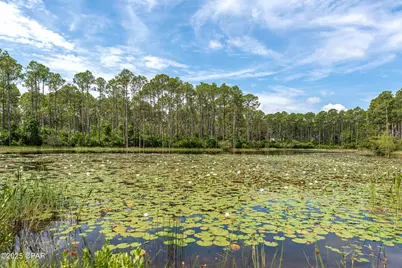 8405 Deepwater Creek Lane, Panama City Beach, FL 32413 - Photo 42
