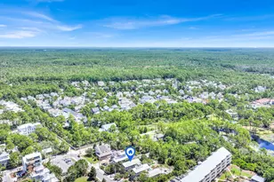 93 Beachfront Trail, Santa Rosa Beach, FL 32459 - Photo 44