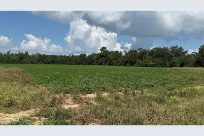 2183 Highway 73, Marianna, FL 32448 - Photo 2