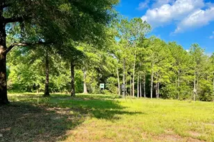 8645 Moores Mill Creek Rd, Baker, FL 32531 - Photo 20