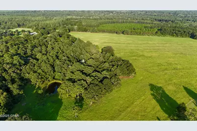 8645 Moores Mill Creek Road, Baker, FL 32531 - Photo 4