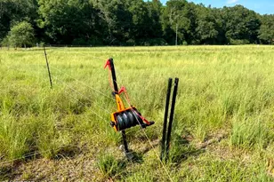 8645 Moores Mill Creek Rd, Baker, FL 32531 - Photo 8