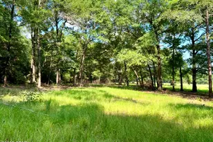 8645 Moores Mill Creek Rd, Baker, FL 32531 - Photo 14