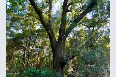 8645 Moores Mill Creek Road, Baker, FL 32531 - Photo 26