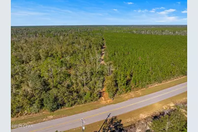 Tbd NW County Road 274, Altha, FL 32421 - Photo 18