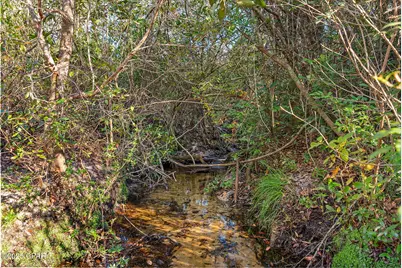 Tbd NW County Road 274, Altha, FL 32421 - Photo 8
