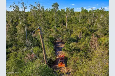 Tbd NW County Road 274, Altha, FL 32421 - Photo 12