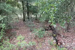 Lot 37 Girard Ct, Alford, FL 32420 - Photo 1