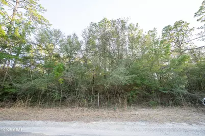 0 Derby Drive, Chipley, FL 32428 - Photo 28