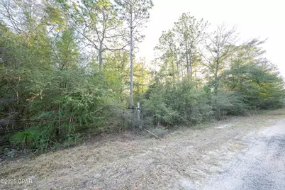 0 Derby Drive, Chipley, FL 32428 - Photo 24